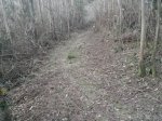 20150320_195027.jpg