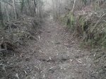 20150320_195047.jpg