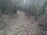 20150320_195256.jpg
