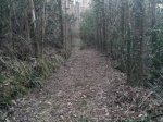 20150320_195316.jpg