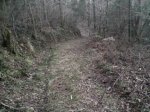 20150320_195359.jpg