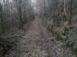 20150320_195403.jpg