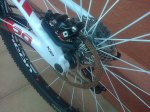 IMG-20150305-02769.jpg
