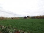 DSC01294.JPG