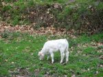 DSC01347.JPG