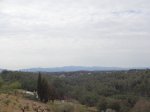 DSC01334.JPG