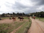 DSC01414.JPG