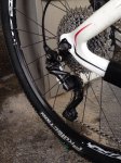 AsWCx4renIHoF_CrKFnxN7doulkEYkTjONVxc0Jbf_m1.jpg