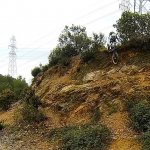 IMG_20150301_201136 - copia.jpg