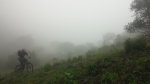 20150321_103742.jpg