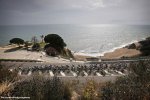 catalunya15st1-beach-big.jpg