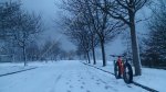 DSC_0366.JPG