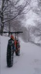 DSC_0263.JPG
