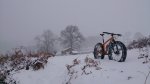 DSC_0250.JPG