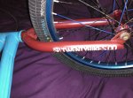 IMG_20150325_210726.jpg