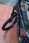 IMAG0390.jpg
