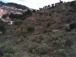 IMG-20150326-WA0018.jpg