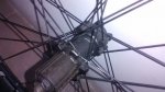 IMG_20150326_182951478.jpg