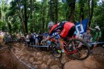 140427_4324_by_Maasewerd_AUS_Cairns_XC_ME_FlueckigerM.jpg