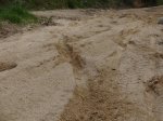 DSC01455.JPG