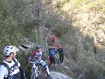 IMG_5962.JPG