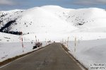 IMG_1248.jpg