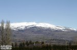 IMG_1580.jpg