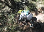 IMG_9076.JPG