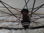IMG_20150324_094515.jpg