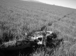 DSCN4930.JPG