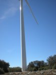 DSCN4945.JPG