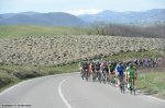 113623_PIC527303810.jpg