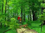 mountain-bike-.jpg