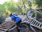 caidaparquebicis.jpg