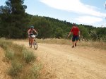 P7150093.JPG