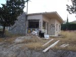 DSC05574.JPG