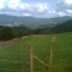Imagen007.jpg