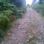 Imagen014.jpg