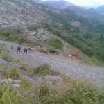 Imagen021.jpg