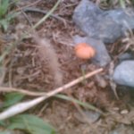 Imagen020.jpg