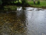 DSC01017.JPG