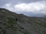 pineta 070 (Large).jpg
