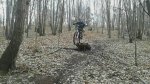 uploadfromtaptalk1427930773703.jpg