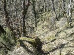 20150307_125946_1152x864.jpg