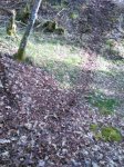IMG-20150403-WA0005.jpg