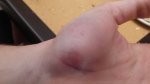 2015-04-04 12.42.48.jpg