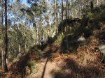 Imagen 042.jpg