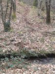 20150315_112559 baixada Cerredo_864x1152.jpg
