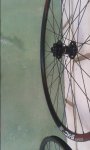 20150331_163451.jpg