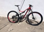 stumpjumper tiburon (3).jpg